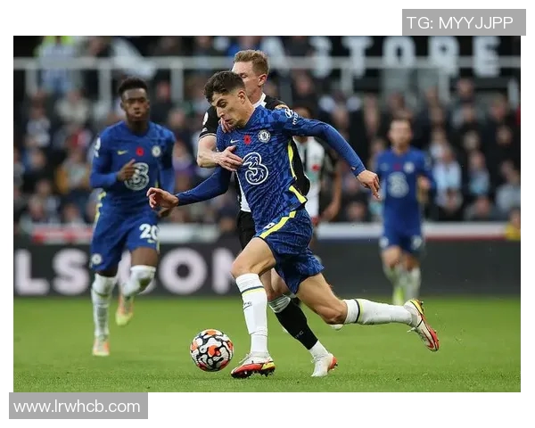 葡萄牙队与新西兰激情对决谁能在这场较量中胜出