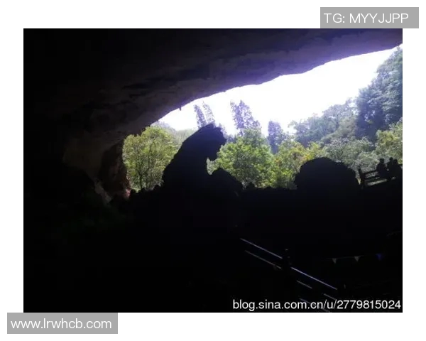 神秘农场的秘密探险之旅揭开自然与人类的奇妙联系